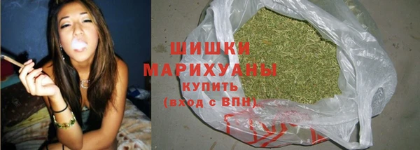 твердый Богородск