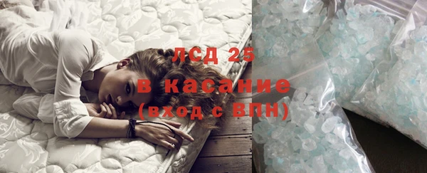 индика Елизово